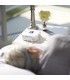 Auto PPC Dreamstation Go avec Touch Screen - Philips Respironics